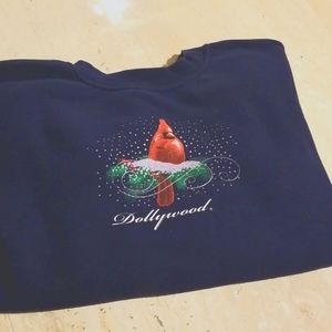💙Dollywood navy sweatshirt